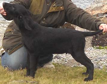 connor3man.jpg (15482 bytes)