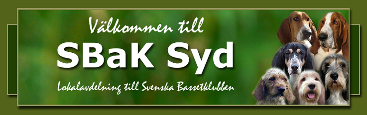 sbaksodra.jpg (152724 bytes)